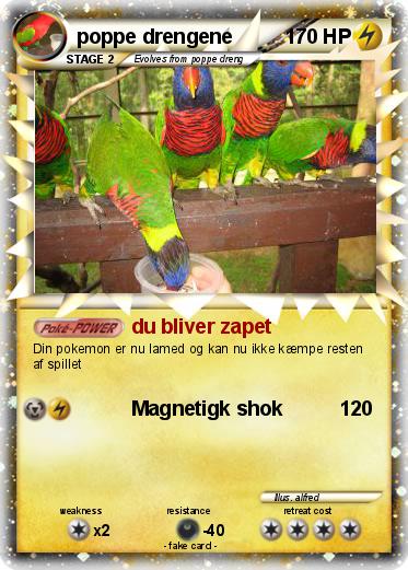 Pokemon poppe drengene