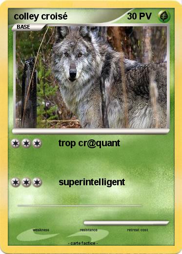 Pokemon colley croisé