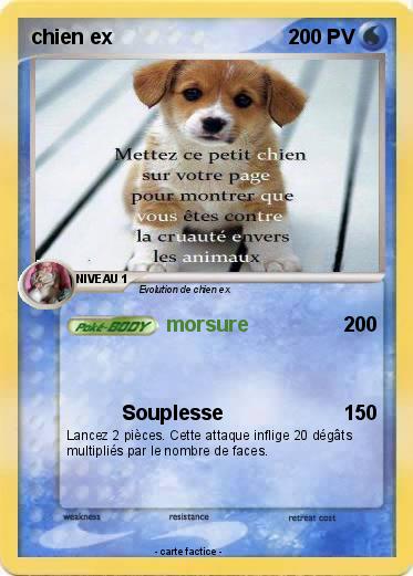 Pokemon chien ex