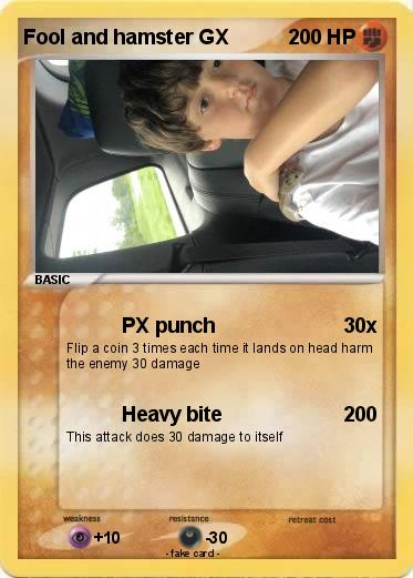 Pokemon Fool and hamster GX
