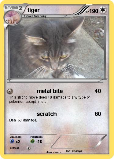 Pokemon tiger