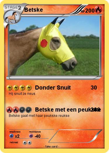 Pokemon Betske