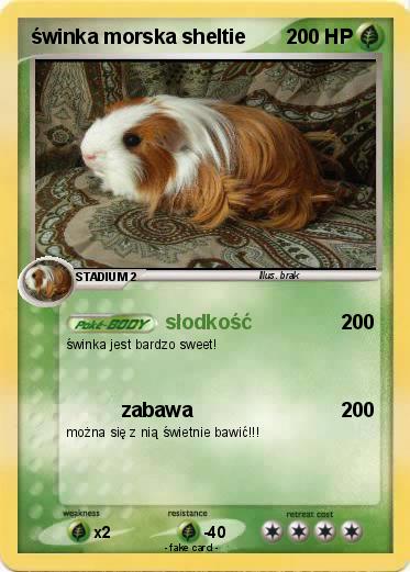 Pokemon świnka morska sheltie