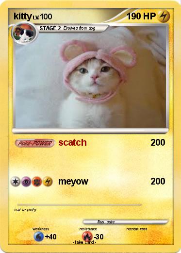 Pokemon kitty
