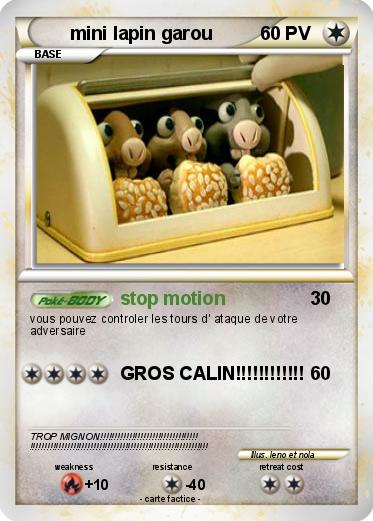 Pokemon mini lapin garou