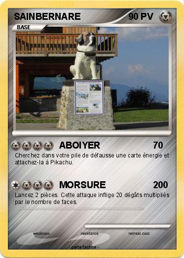 Pokemon SAINBERNARE
