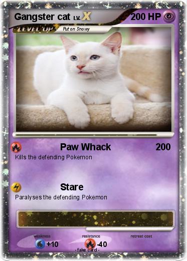 Pokemon Gangster cat