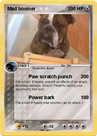 Pokemon Mad boomer