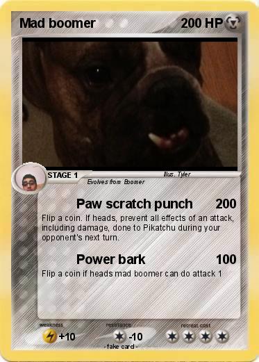 Pokemon Mad boomer