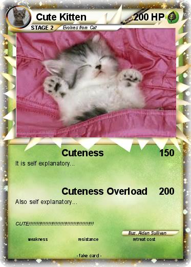 Pokemon Cute Kitten
