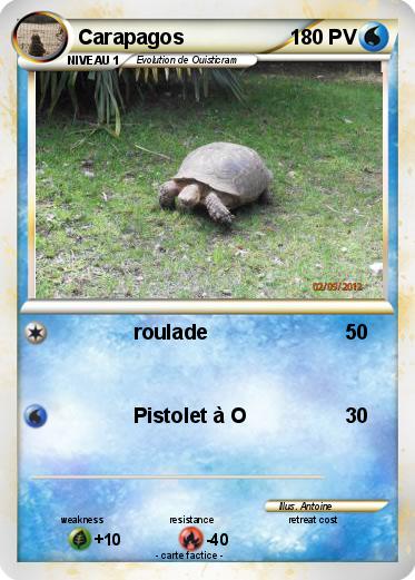 Pokemon Carapagos