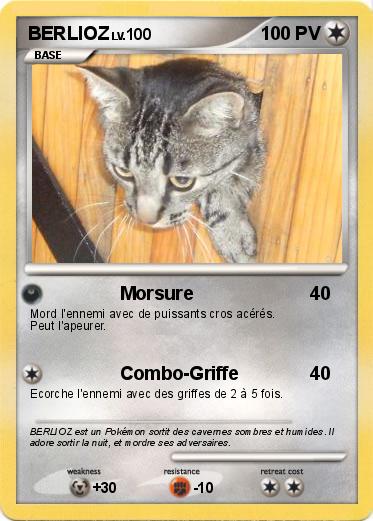 Pokemon BERLIOZ