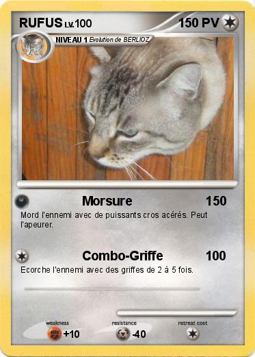Pokemon RUFUS
