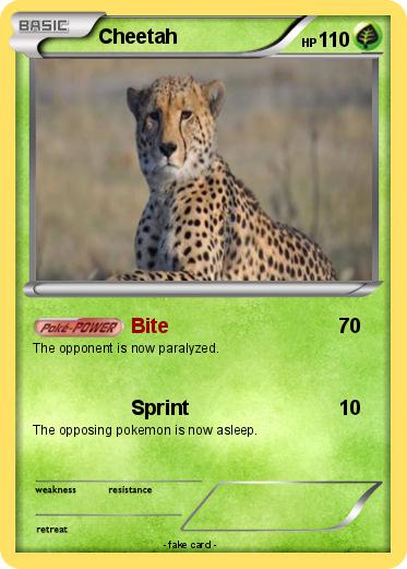 Pokemon Cheetah