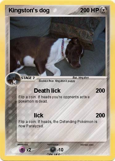 Pokemon Kingston's dog