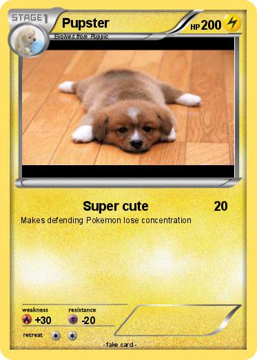Pokemon Pupster
