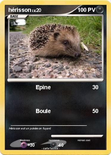 Pokemon hérisson