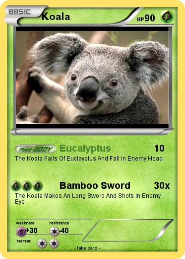 Pokemon Koala