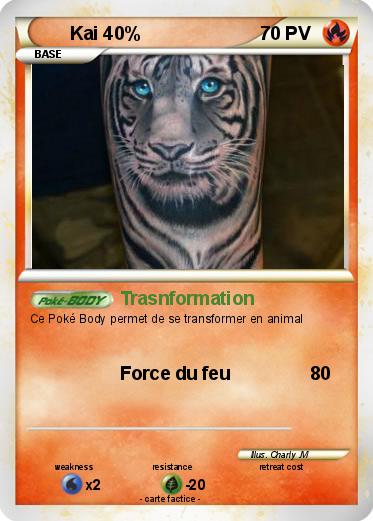 Pokemon Kai 40%