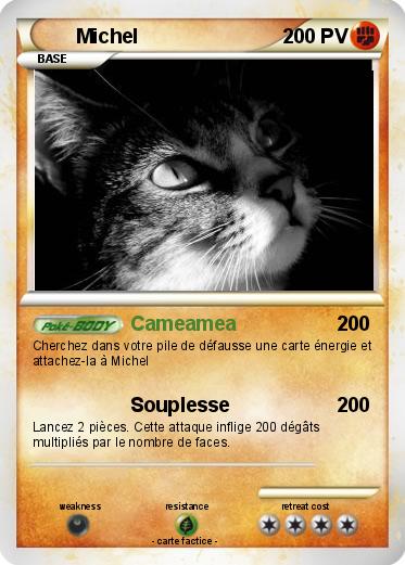 Pokemon Michel