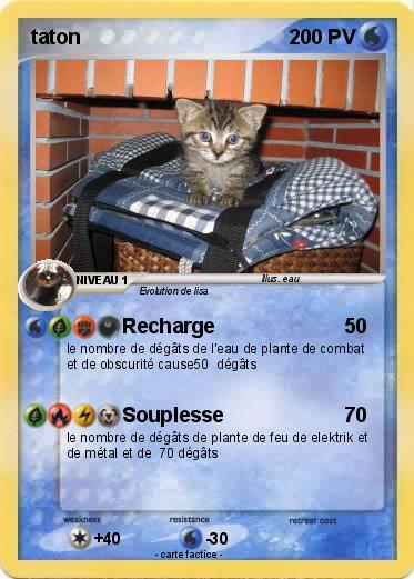 Pokemon taton