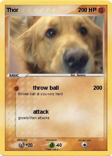 Pokemon Thor