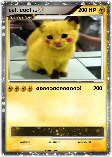 Pokemon catt cool