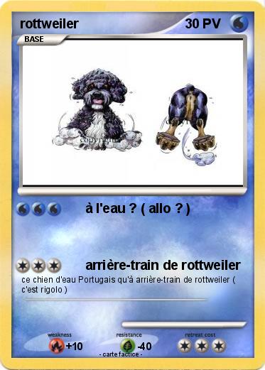 Pokemon rottweiler