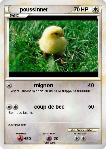 Pokemon poussinnet