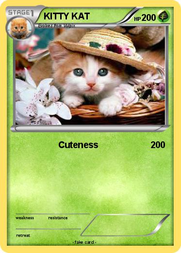Pokemon KITTY KAT
