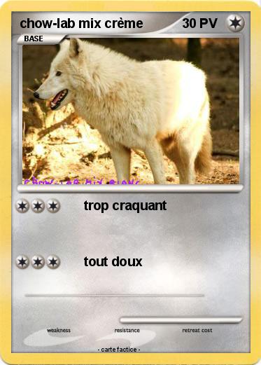 Pokemon chow-lab mix crème