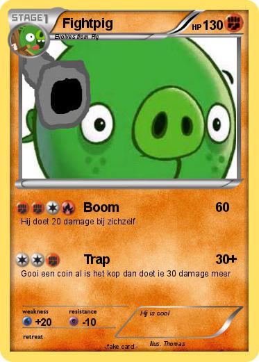 Pokemon Fightpig