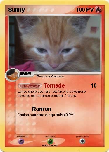 Pokemon Sunny