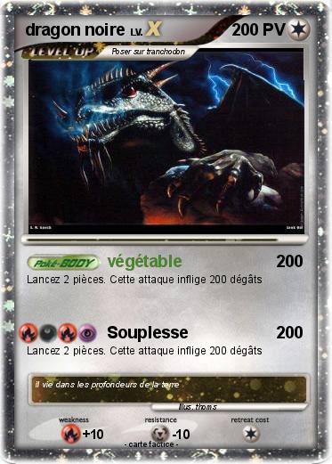 Pokemon dragon noire