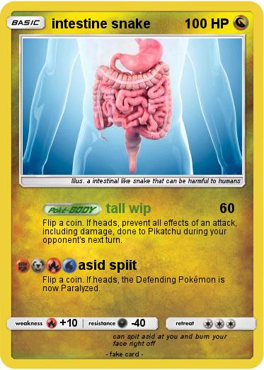 Pokemon intestine snake