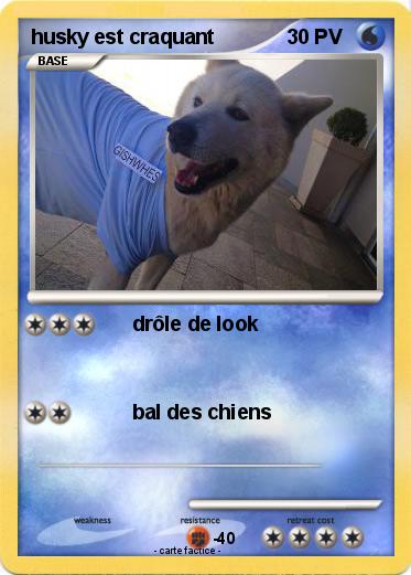 Pokemon husky est craquant