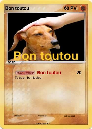 Pokemon Bon toutou
