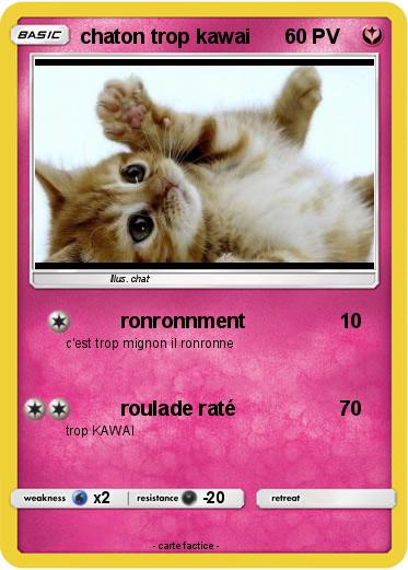 Pokemon chaton trop kawai