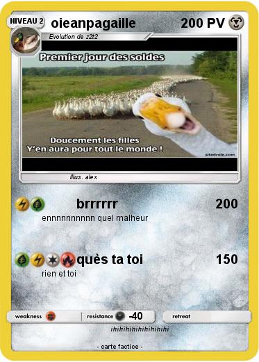 Pokemon oieanpagaille