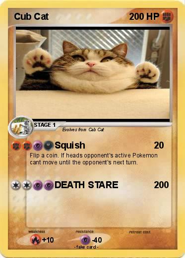 Pokemon Cub Cat