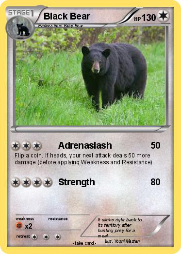 Pokemon Black Bear