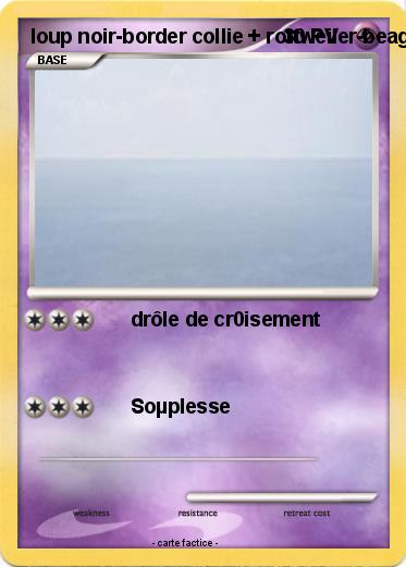 Pokemon loup noir-border collie + rottweiler-beagle = wollie-roteagle