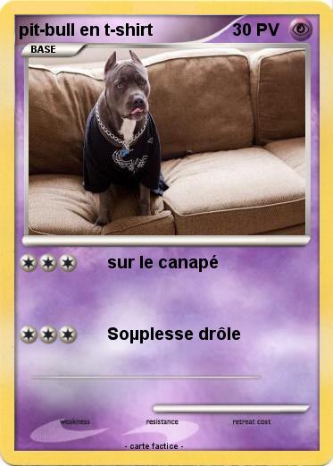 Pokemon pit-bull en t-shirt