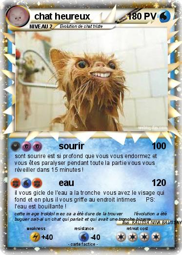 Pokemon chat heureux