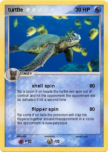 Pokemon turttle