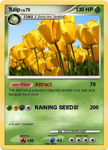 Pokemon Tulip