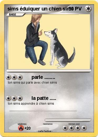 Pokemon sims éduiquer un chien sims