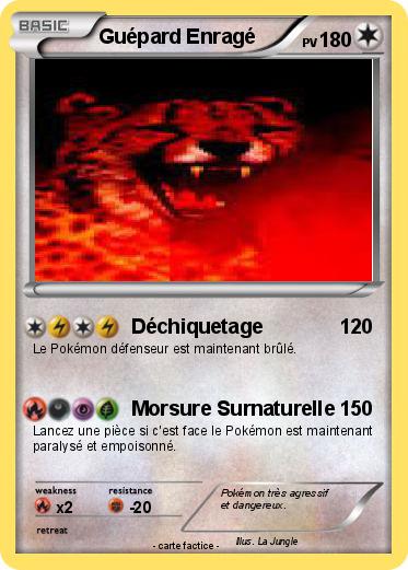 Pokemon Guépard Enragé