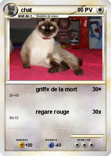 Pokemon chat