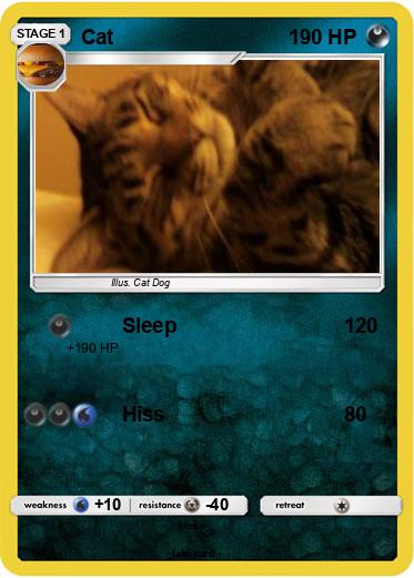 Pokemon Cat